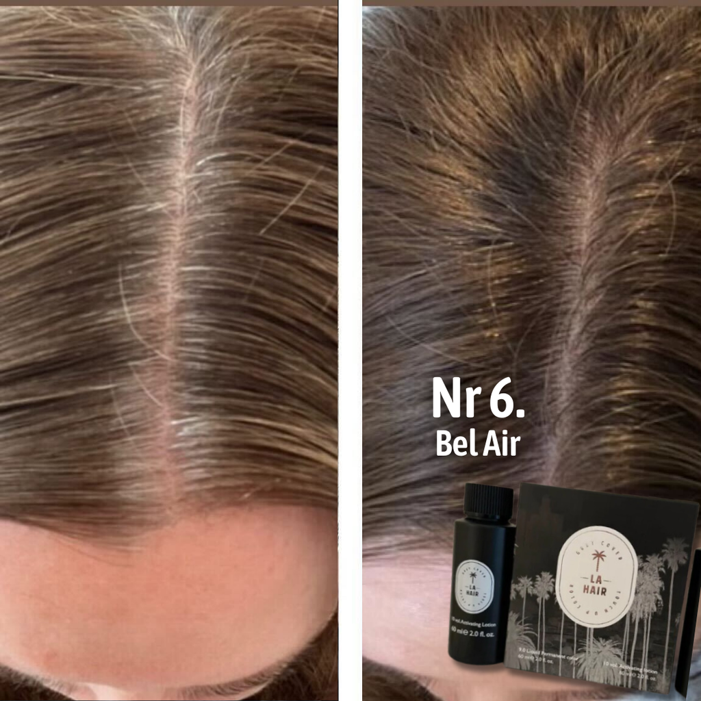 Grey Cover Starter Kit – LA Hair Color