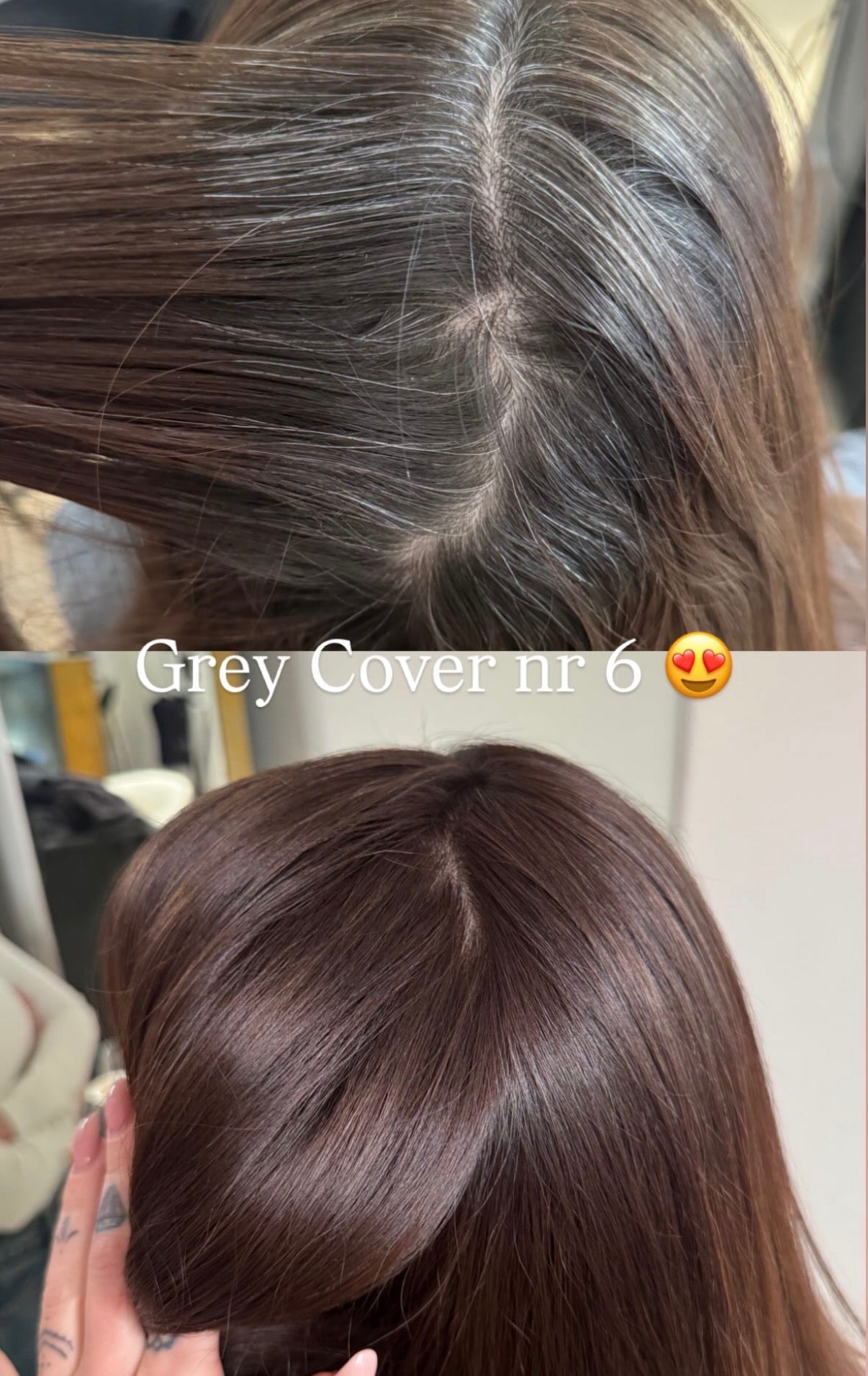 Grey Cover Starter Kit